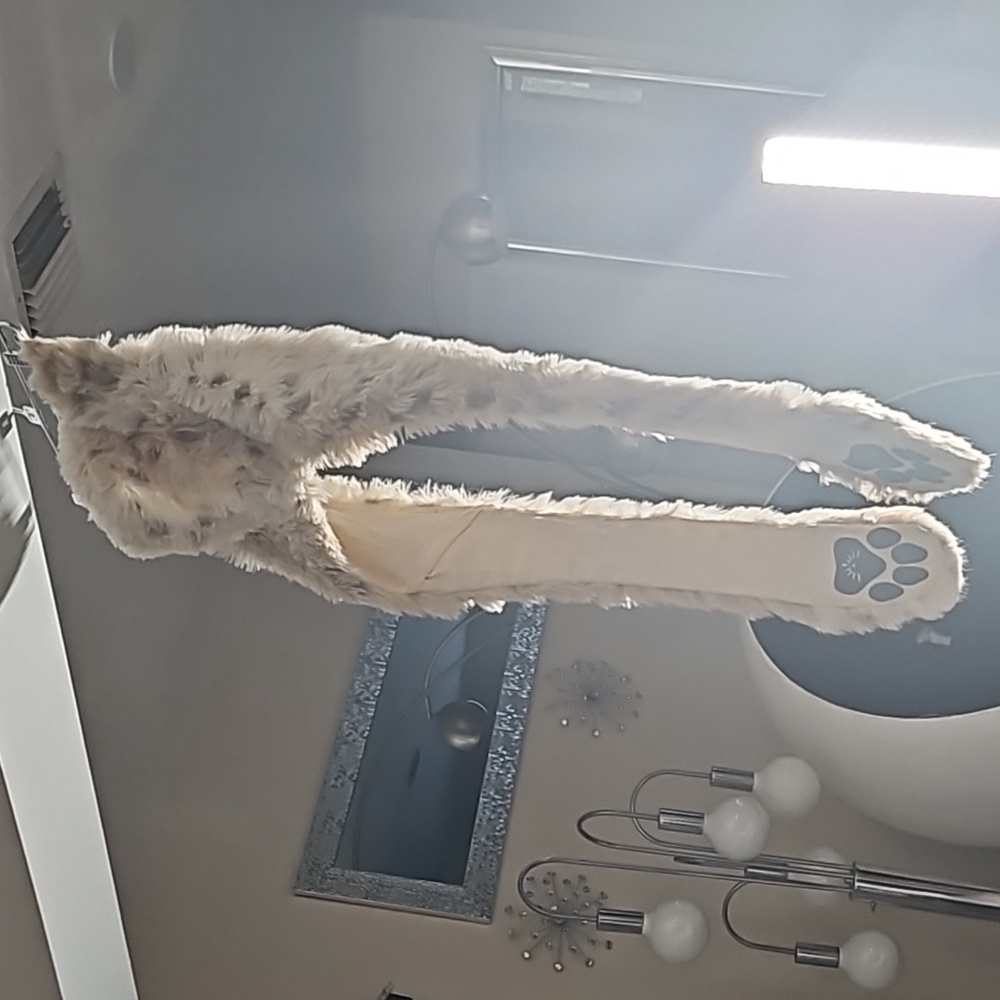 Snow leopard